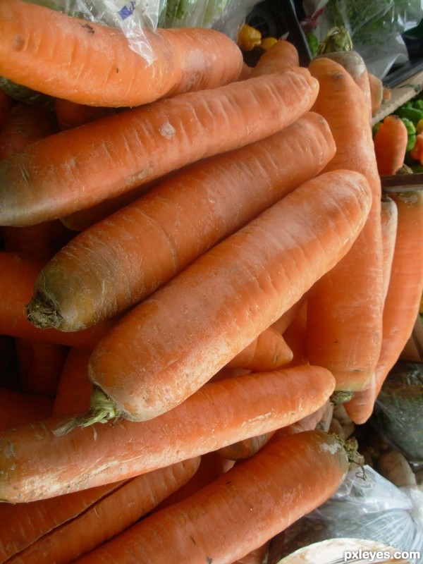 Creation of Singing into a Carrot: Step 1