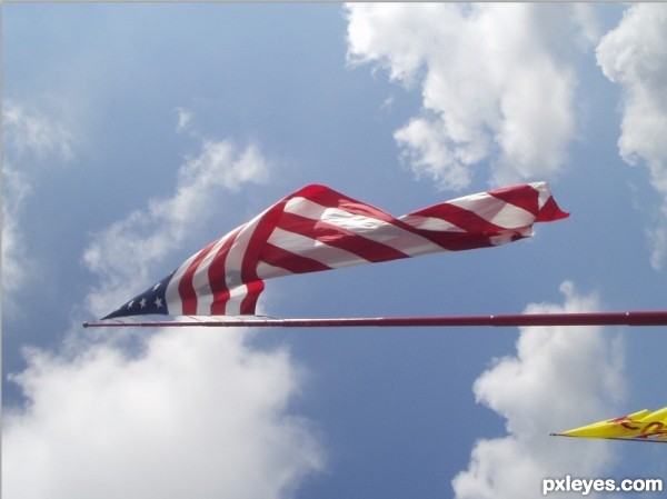 Creation of USA Post Card: Step 1