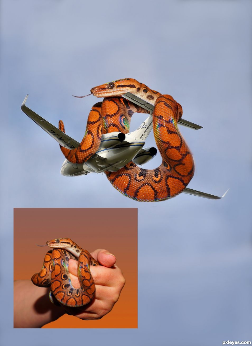 Creation of Snakes On A Plane: Step 3