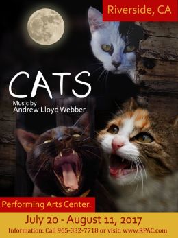 Cats The Musical