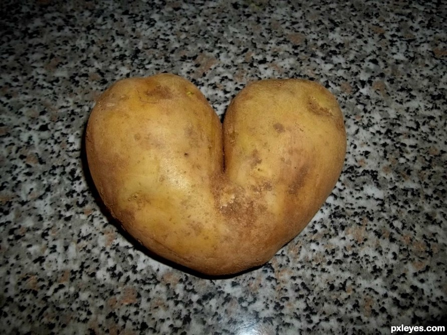 Love is everywhere!