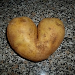 Love is everywhere! Picture