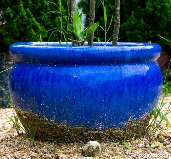 Blue Pot