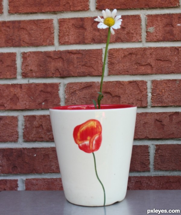 Red and White Pot