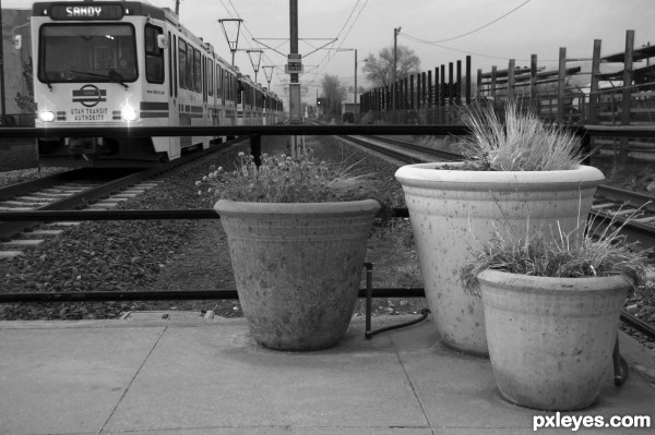 Sandy Pots