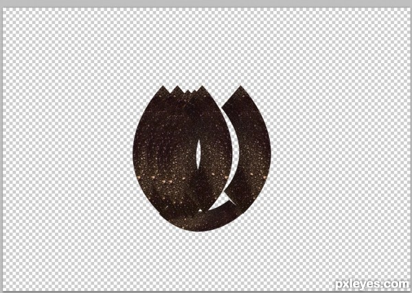 Creation of Last Thing the Fly Saw: Step 2