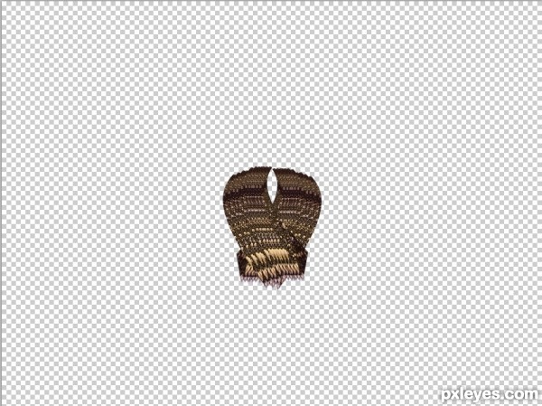 Creation of Last Thing the Fly Saw: Step 5