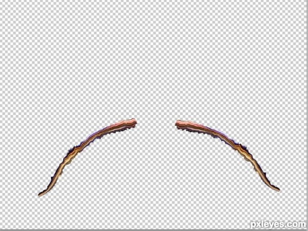 Creation of Last Thing the Fly Saw: Step 8