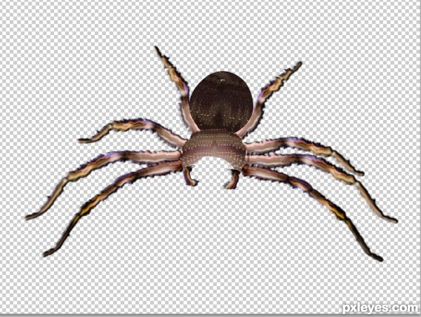 Creation of Last Thing the Fly Saw: Step 9