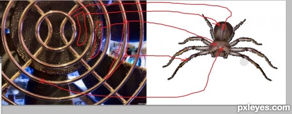 Creation of Last Thing the Fly Saw: Step 17
