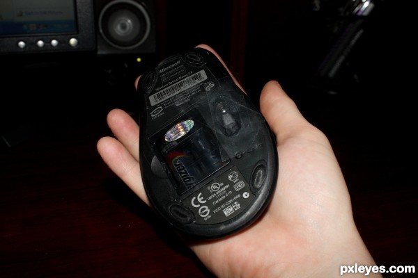Whats WRONG with my Mouse?