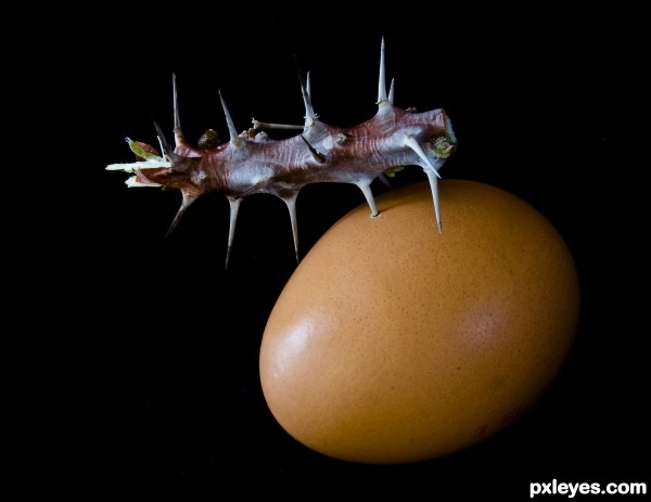 pierced egg