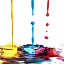 primary colours 2 photography contest