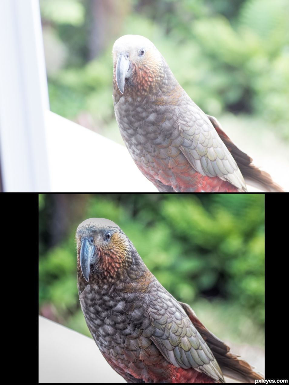 overexposed Kaka