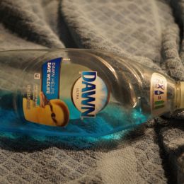 RelaxYouvegotDawn