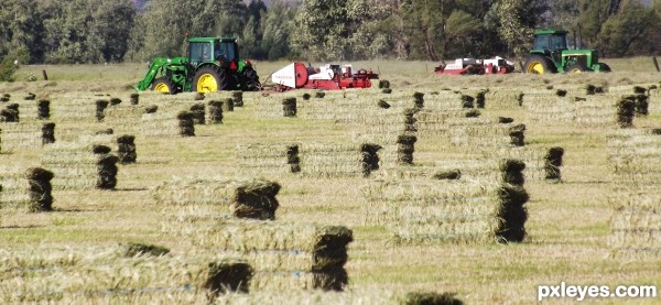 Make hay while the sun shines