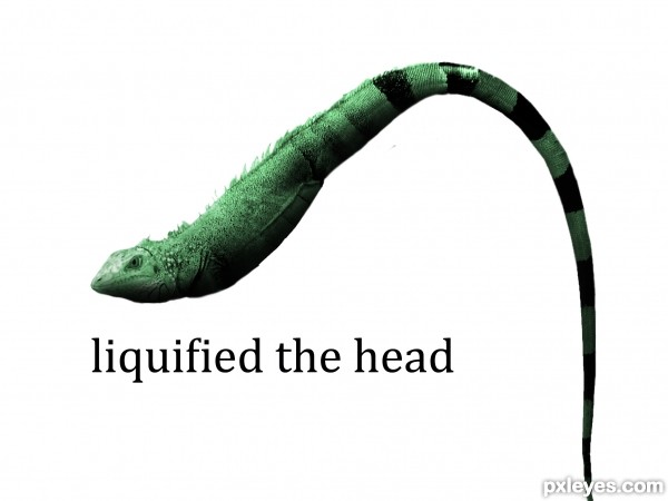 Creation of Mutant fish: Step 3