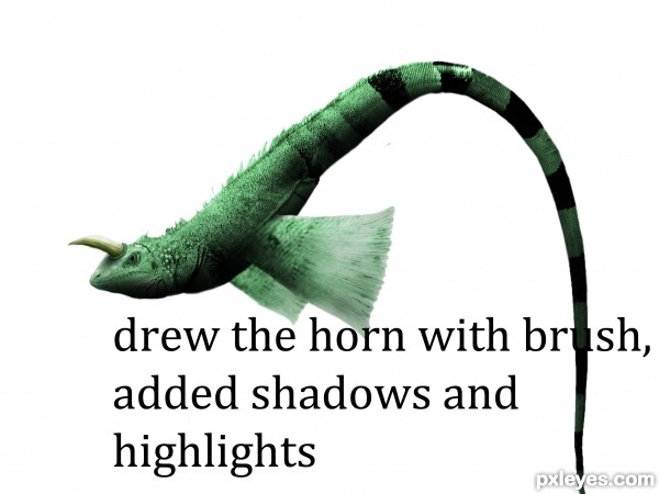 Creation of Mutant fish: Step 5