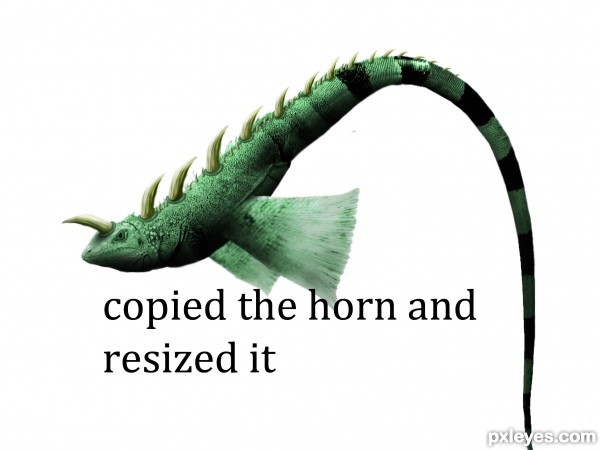 Creation of Mutant fish: Step 6