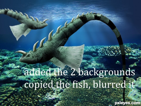 Creation of Mutant fish: Step 7