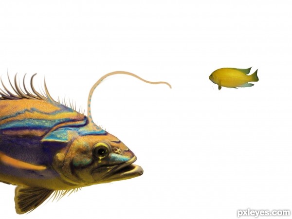 Creation of Come my way little fish: Step 3