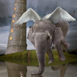 WaterElephant