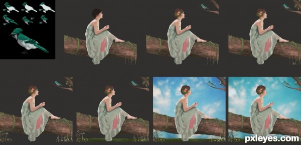 Creation of Frijjo: Step 3