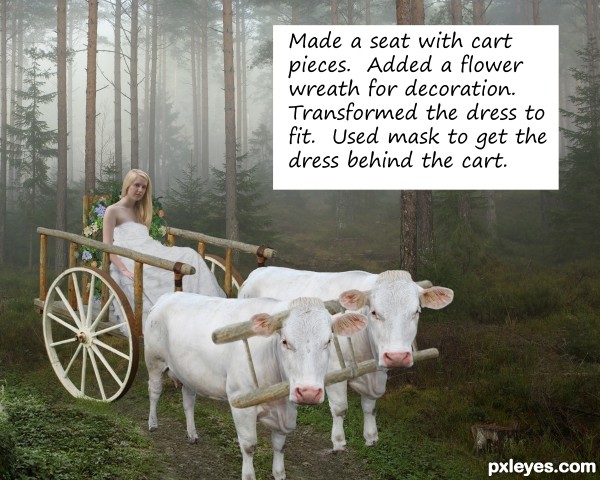 Creation of Nerthus: Step 10