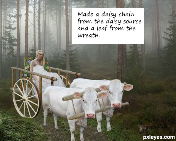 Creation of Nerthus: Step 11