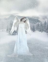 AngelInTheSnow