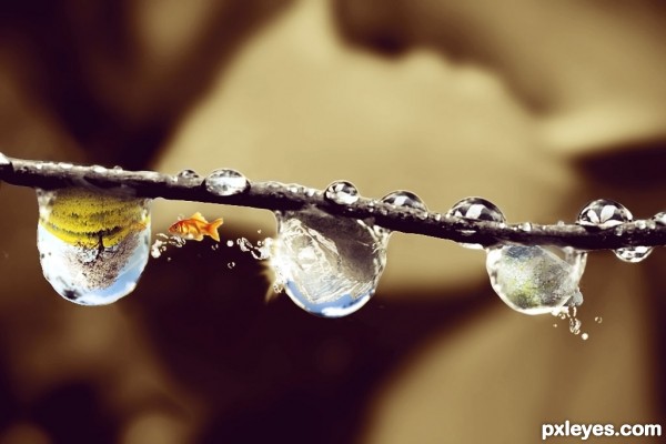 Creation of Fantasy Droplets: Final Result