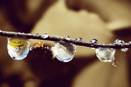 Fantasy Droplets