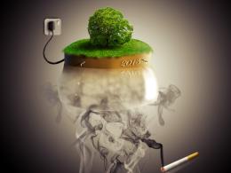 Plant the trees with smokes Picture