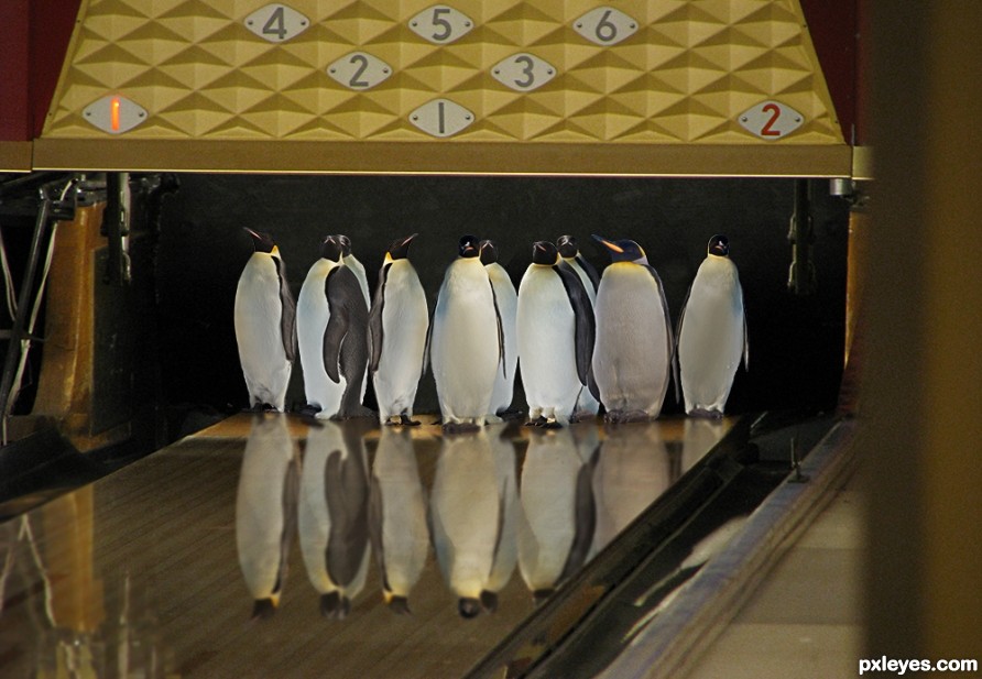 Penguin Bowling