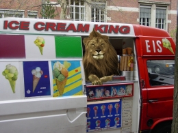 Ice Cream king