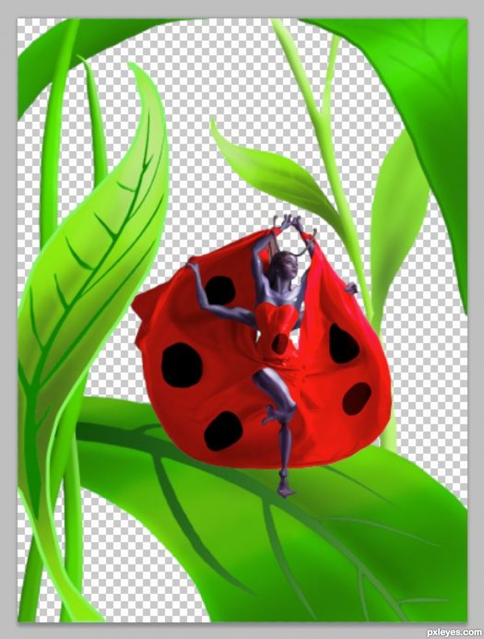 Creation of Does this lady bug you?: Step 7