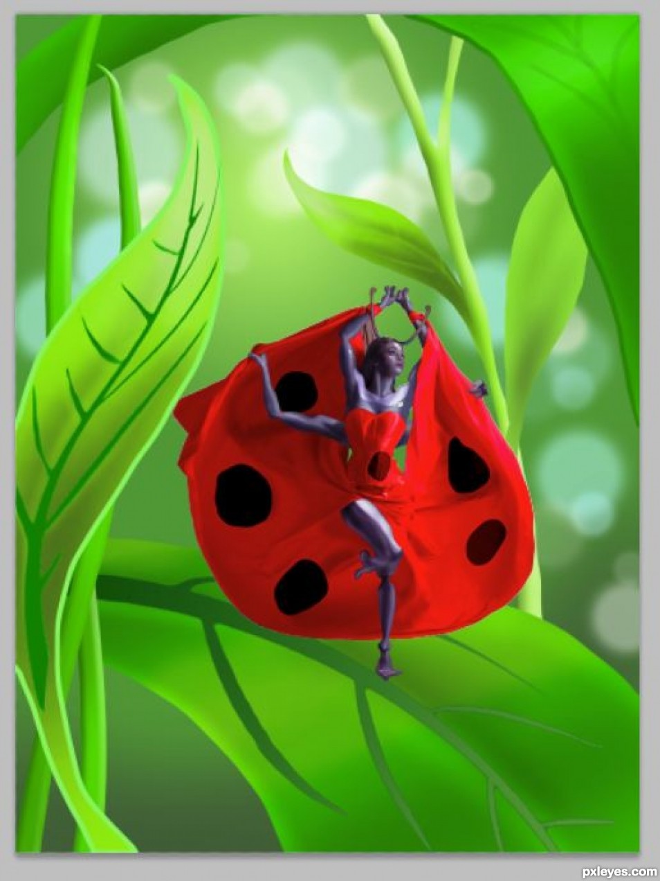 Creation of Does this lady bug you?: Step 8