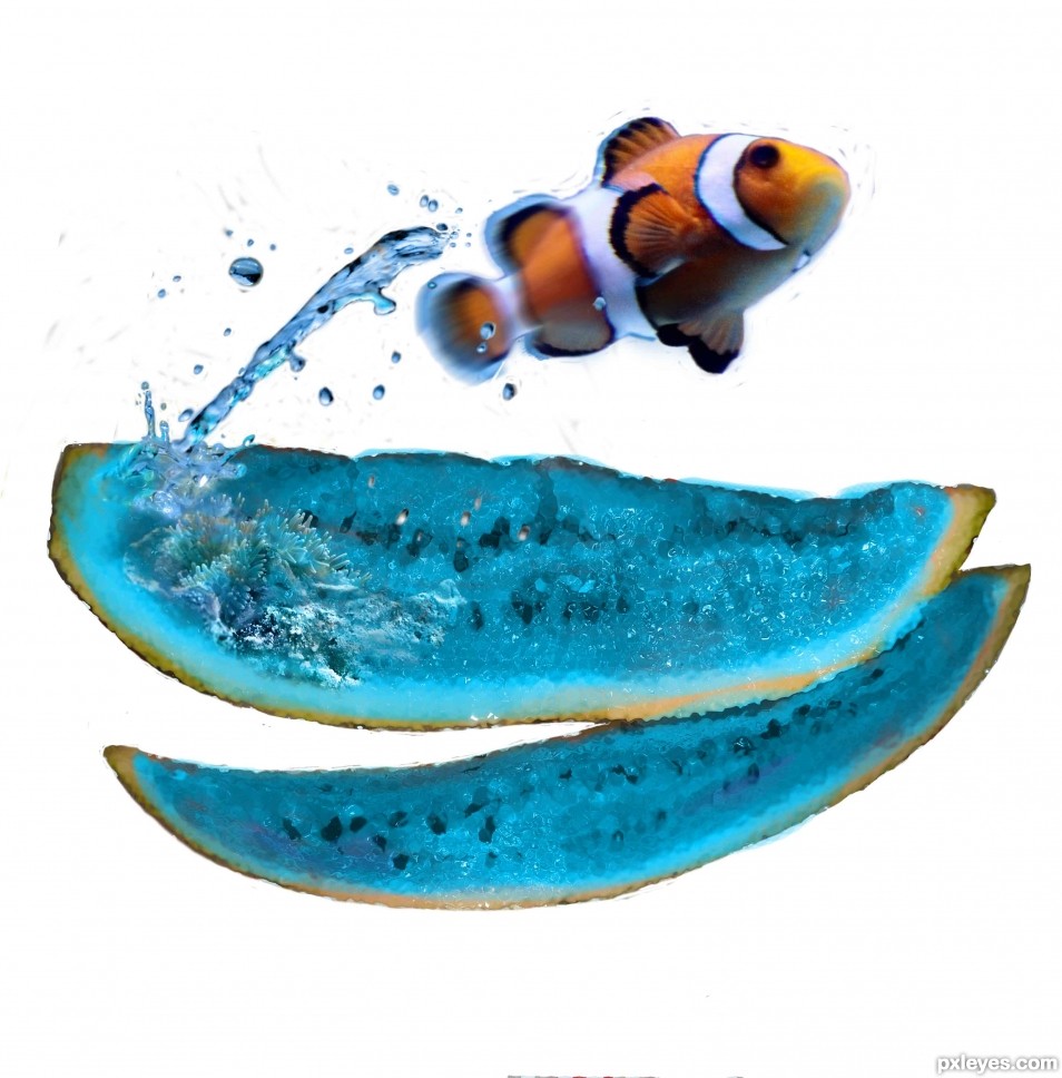 Creation of Jumping fish: Step 16
