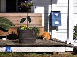 Country Store Mailbox