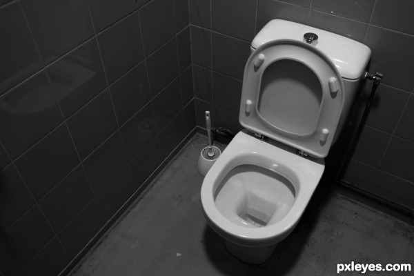 Museum toilet