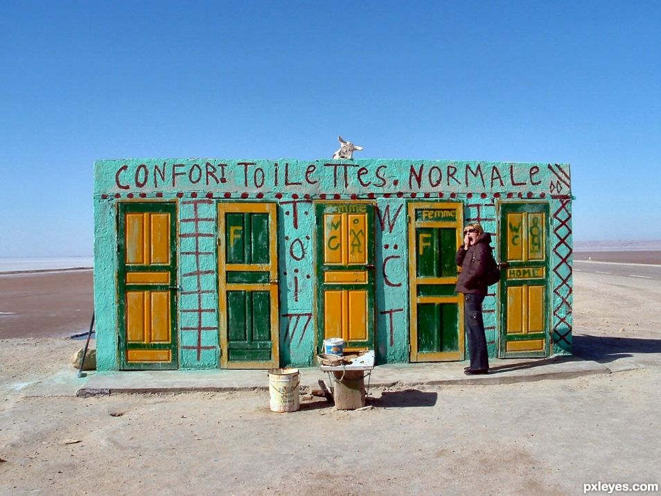 Sahara Toilet