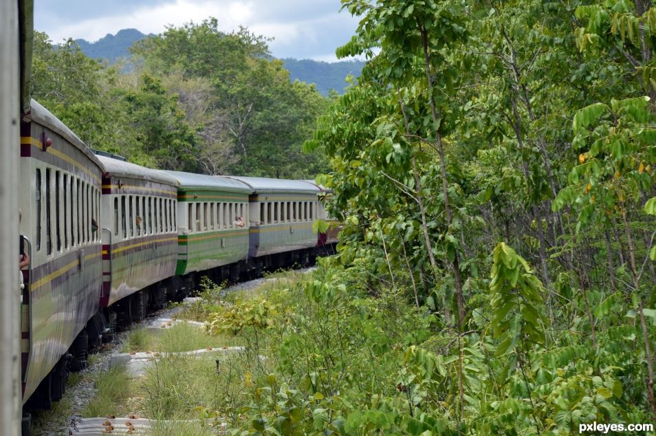 Thai Public Train