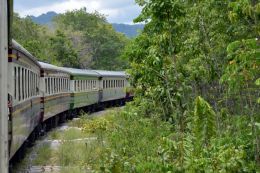 Thai Public Train