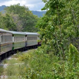 Thai Public Train Picture