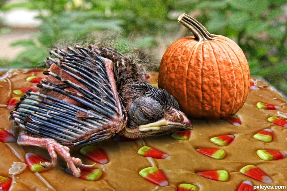 Candy Corn Fudge Tile and the Bird with Pumpkin