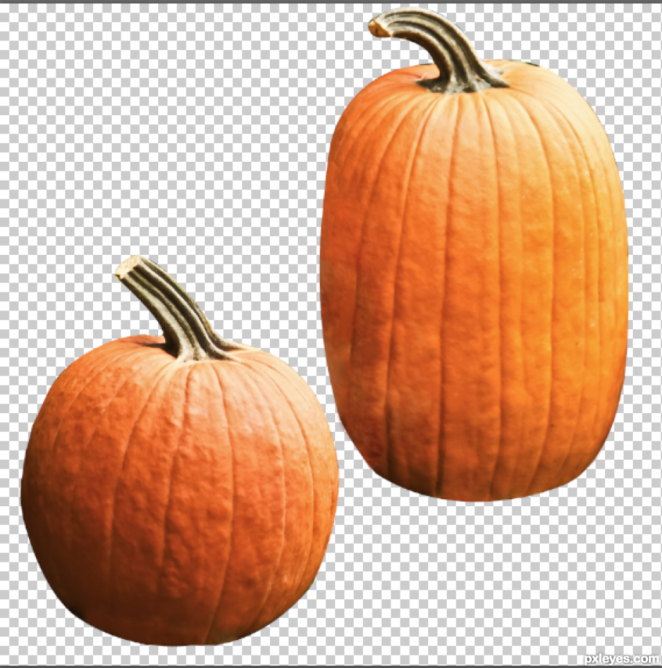 Creation of Pumpkin Mosaic: Step 3