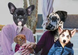 Blended family