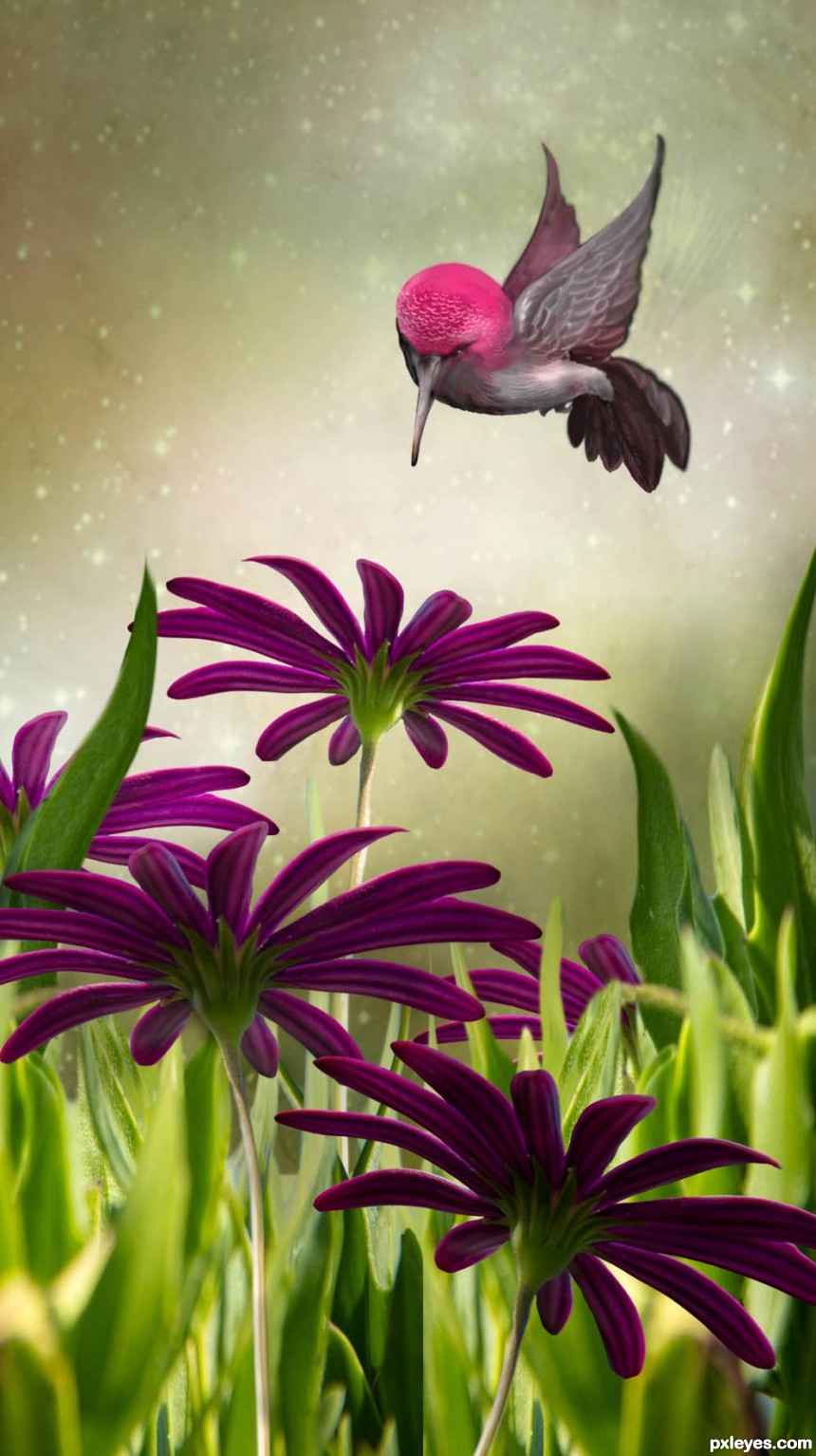 Ready for a Sip of Nectar photoshop picture)