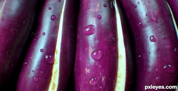 Aubergine