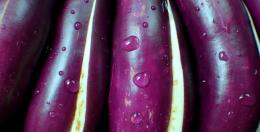 Aubergine